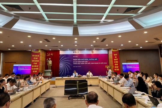Nhận diện khó khăn, vướng mắc do quy định pháp luật trong hoạt động sản xuất, kinh doanh