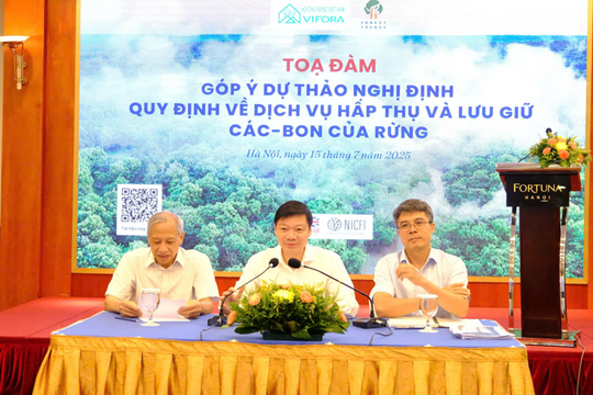 Thu hút nhà đầu tư tham gia thị trường carbon rừng