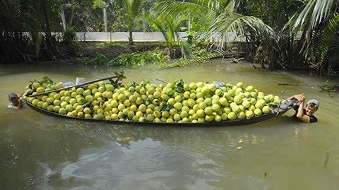 Dòng chảy tín dụng chính sách vẫn thông suốt sau sáp nhập tỉnh An Giang