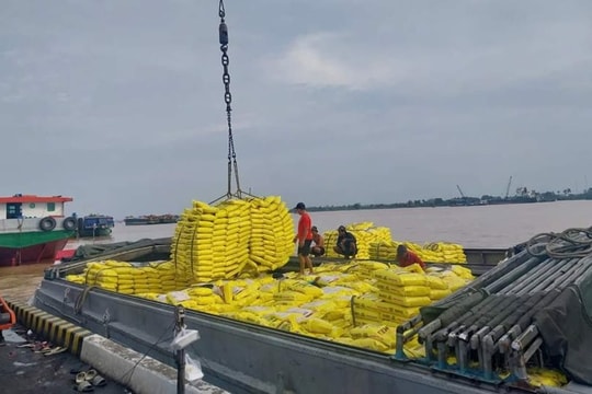 Xuất khẩu gạo Việt Nam đối mặt áp lực kép