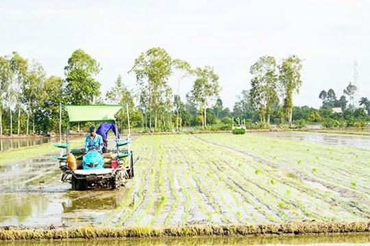 Giữ vững “dòng chảy” tín dụng chính sách trên địa bàn ngân hàng Khu vực 13