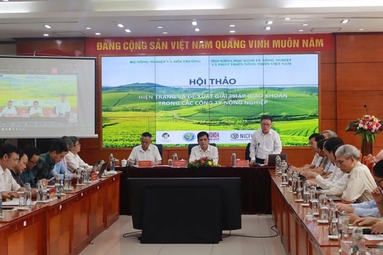 Tăng cơ hội xuất khẩu từ việc tháo gỡ vướng mắc trong sử dụng đất nông lâm trường