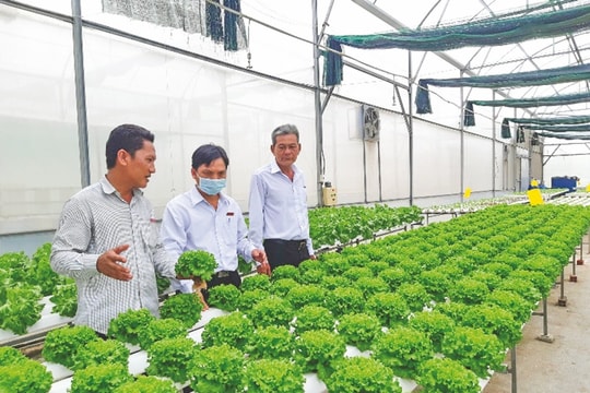 Tín dụng ngân hàng tiếp thêm động lực tăng trưởng kinh tế TP. Cần Thơ