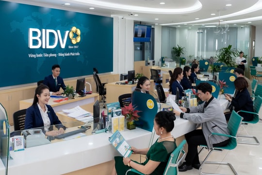 ‏Tín dụng tỉnh Đồng Tháp và Tây Ninh tăng trưởng 8,64%‏