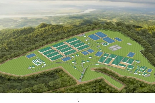 BAF phấn đấu đạt 10 triệu heo thương phẩm vào năm 2030