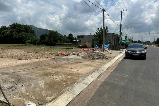 Đất nền các khu vực ven TP. Hồ Chí Minh tiếp tục tăng giá sau sáp nhập