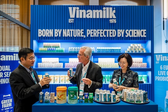 Vinamilk ghi nhận doanh thu quý II/2025 cao nhất từ trước đến nay, đạt 16.745 tỷ đồng