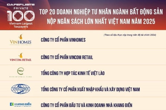 Top 20 công ty bất động sản tư nhân nộp ngân sách lớn nhất Việt Nam