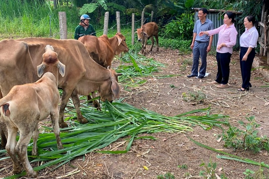 Hiệu quả đồng vốn nhân văn trên quê hương cách mạng Đak Pơ
