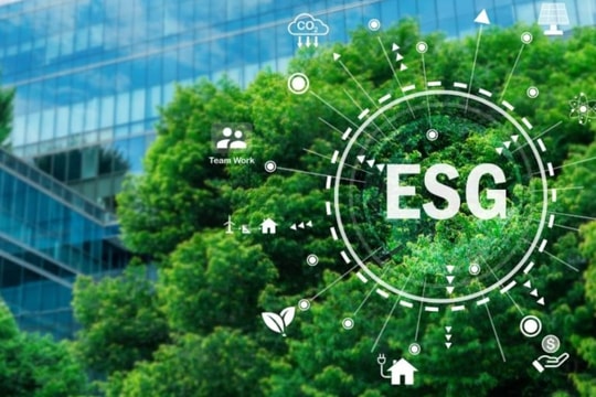 Giải Báo cáo Phát triển Bền vững: Một thập kỷ kiến tạo doanh nghiệp tiên phong và nâng tầm ESG Việt Nam