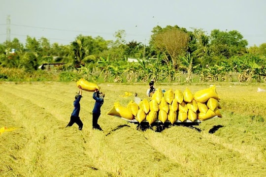 Tín dụng tăng cao: Ngân hàng Khu vực 13 thúc đẩy tăng trưởng kinh tế