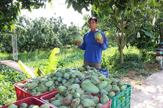 Tín dụng tăng trưởng “tiếp sức” 3 mũi nhọn kinh tế tỉnh Đồng Tháp