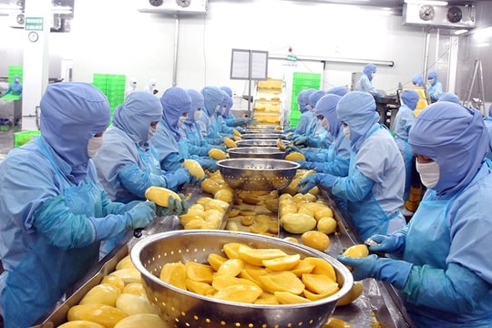 Ngân hàng sẵn sàng nguồn lực tín dụng thúc đẩy kinh tế tập thể tỉnh An Giang