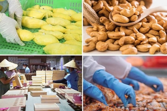 Xuất khẩu nông lâm thủy sản hướng tới 65 tỷ USD trong năm 2025