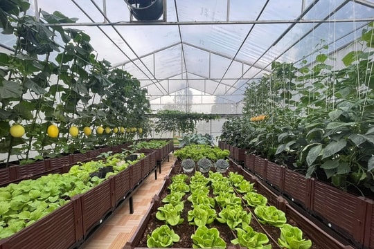 Ngân hàng Nhà nước Khu vực 13 đẩy mạnh tín dụng ưu tiên, hỗ trợ phát triển kinh tế địa phương