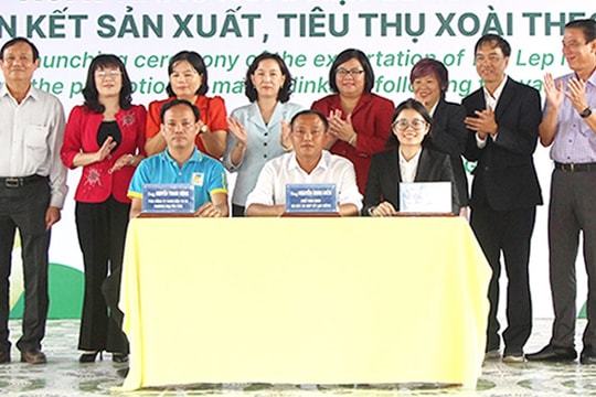 Đẩy mạnh tín dụng liên kết sản xuất khác biệt để lớn