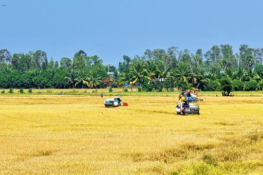 39 hộ nông dân ở An Giang được nhận tiền hỗ trợ từ Bảo hiểm Chỉ số Thời tiết sau đợt mưa lớn tháng 5