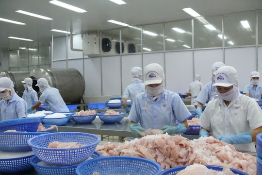 Hệ thống ngân hàng Khu vực 13: Đẩy mạnh cho vay trên địa bàn những tháng cuối năm 2025