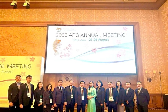 Đoàn Việt Nam tham dự Hội nghị thường niên APG 2025 tại Tokyo, Nhật Bản