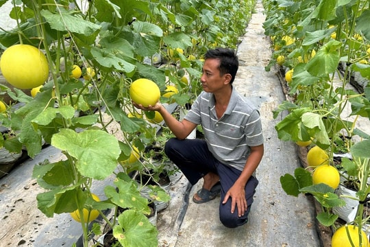 Tín dụng mở lối phát triển nông nghiệp nông thôn, “bệ đỡ” tăng trưởng kinh tế