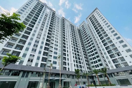 Đông Bắc TP. Hồ Chí Minh tiếp tục là điểm đến của dòng căn hộ vừa túi tiền