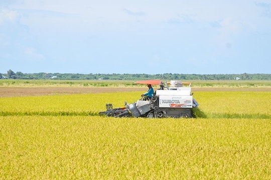 Ngân hàng Khu vực 13: Đưa dòng vốn tín dụng đến đúng địa chỉ, tạo động lực tăng trưởng kinh tế địa phương