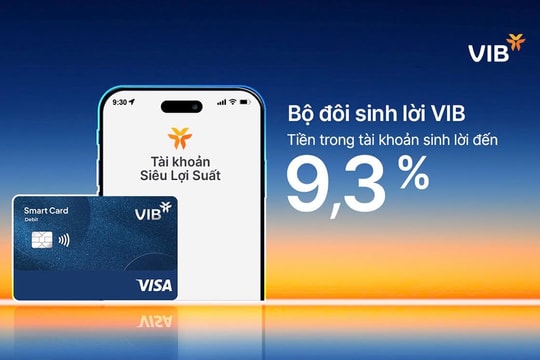Bộ đôi sinh lời VIB – giải pháp tài chính tối ưu dòng tiền đến 9,3%