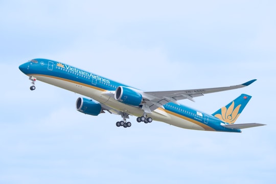Vietnam Airlines muốn bổ sung 30 tàu bay thân rộng của Airbus hoặc Boeing