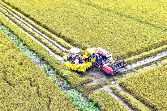 Tín dụng ngân hàng “bệ phóng” tăng trưởng kinh tế tỉnh Cà Mau