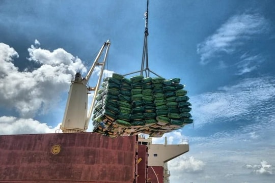 Philippines tạm ngưng nhập khẩu gạo thị trường nào sẽ bù đắp?