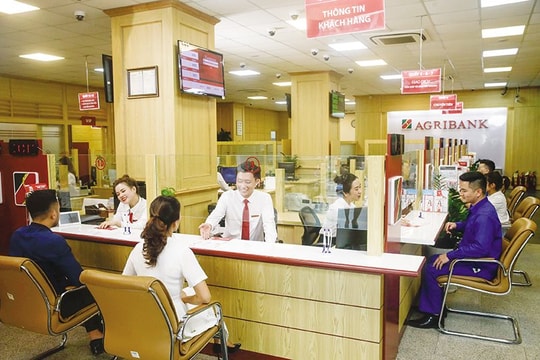 Tây Ninh: “ Lực đỡ ” từ tín dụng ngân hàng thúc đẩy phát triển kinh tế nông nghiệp