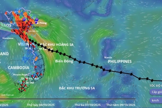 Doanh nghiệp bảo hiểm báo cáo thiệt hại, giải quyết quyền lợi bảo hiểm do ảnh hưởng của bão số 10 và mưa lũ trong ngày 1/10