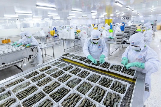 Tín dụng ngân hàng tiếp sức doanh nghiệp Khu vực 13