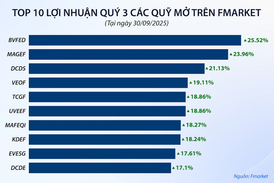 VN-Index quý III/2025: Bứt phá mạnh mẽ, quỹ mở hưởng lợi ‎