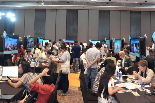 Ngày hội giáo dục New Zealand 2025 thu hút đông đảo phụ huynh và sinh viên Việt Nam