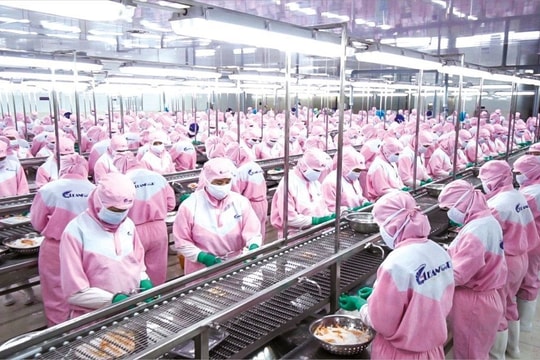 Tín dụng ngân hàng “chắp cánh” thủy sản Đồng bằng sông Cửu Long phát triển