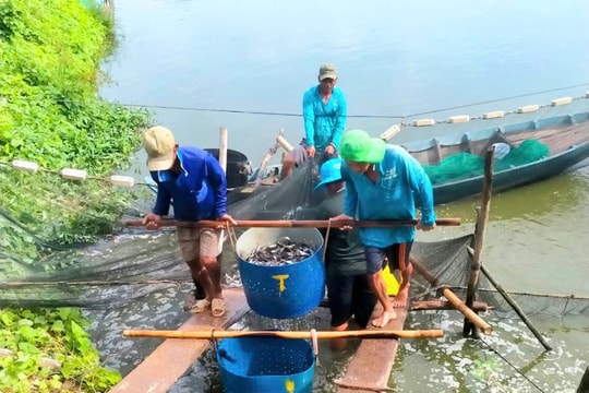 Ngân hàng Khu vực 13: Thúc đẩy cho vay lĩnh vực kinh tế tập thể