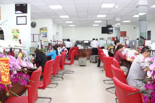 Tín dụng Agribank An Giang: Điểm tựa vững vàng phát triển nông nghiệp