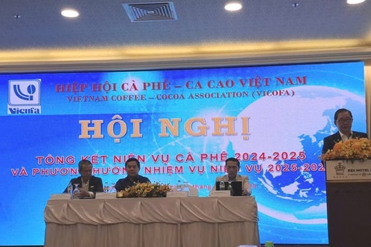 Cà phê Việt Nam lập kỷ lục xuất khẩu 8,4 tỷ USD niên vụ 2024–2025