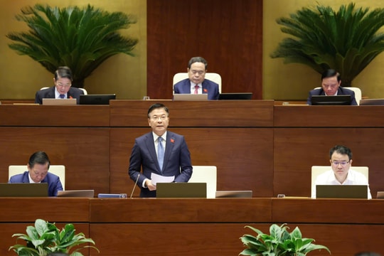 Phó Thủ tướng Lê Thành Long giải trình 6 nhóm vấn đề lớn về kinh tế - xã hội trước Quốc hội