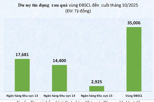 Nguồn vốn ngân hàng “trợ lực” để ngành rau quả bứt tốc phát triển
