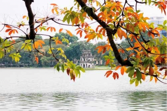 Mùa thu Hà Nội