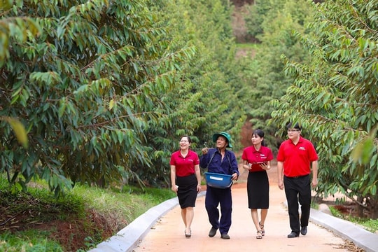 Agribank xanh hóa tín dụng – “Cầu nối” để phát triển năng lượng xanh tại Việt Nam