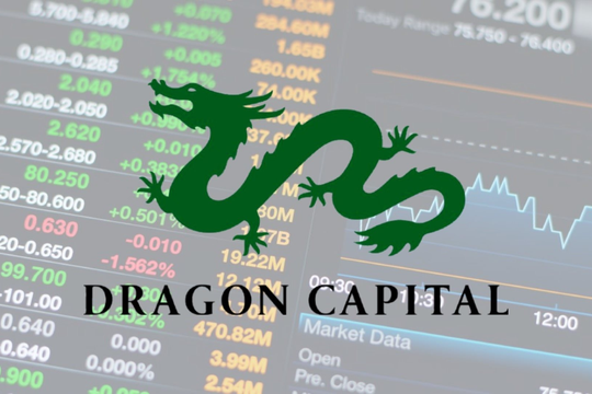 Dragon Capital hạ sở hữu tại Đất Xanh, quay lại làm cổ đông lớn của Hóa chất Đức Giang