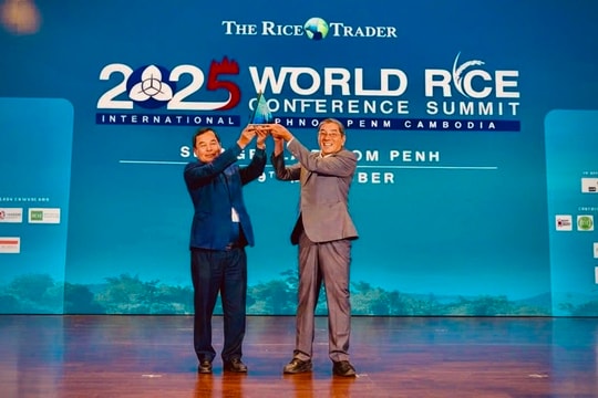 ST25 – Biểu tượng nâng tầm và khẳng định thương hiệu gạo Việt