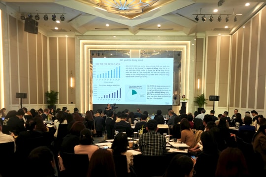 Ngân hàng Việt Nam: Triển vọng tín dụng và tài chính bền vững