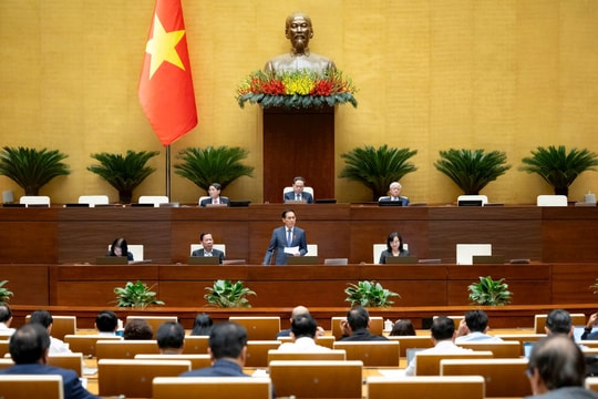 Phó Thủ tướng Bùi Thanh Sơn giải trình về 7 nhóm vấn đề lớn của dự án Luật Thương mại điện tử