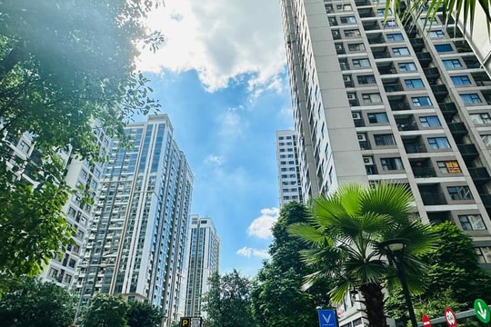 Chung cư Hà Nội chững Lại: giá neo cao, thanh khoản giảm sau giai đoạn tăng nóng