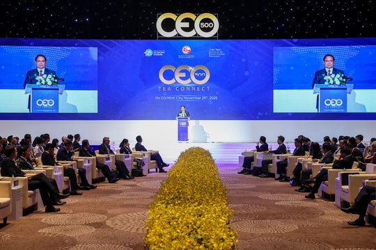Thủ tướng: "Thành công của các bạn là thành công của Việt Nam"