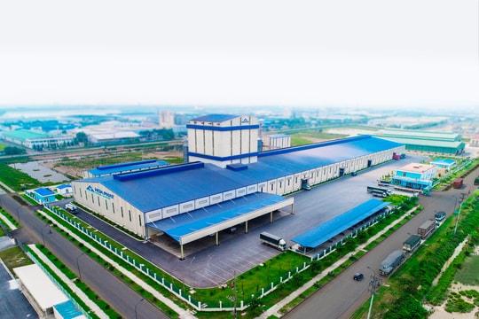 Nông nghiệp Hòa Phát hướng tới doanh thu 12.000 tỷ đồng năm 2030, chi trả cổ tức tiền mặt hàng năm